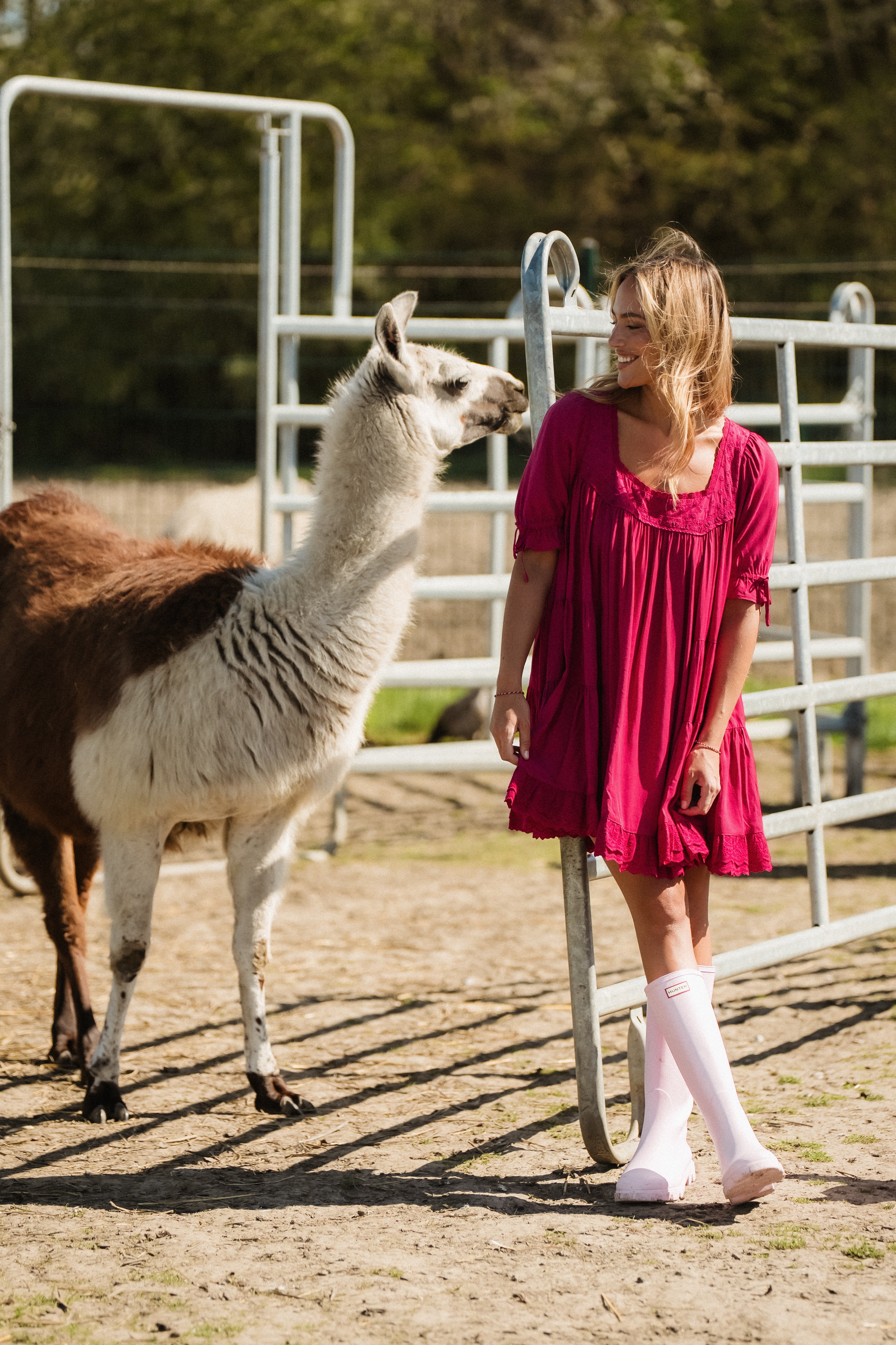 Isla A-Line Dress Berry Whip
