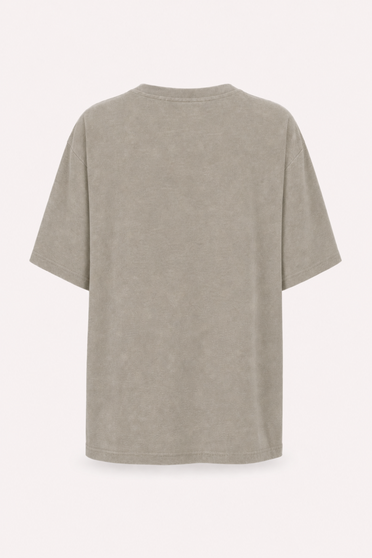 BF T-Shirt AM to PM Taupe Acid