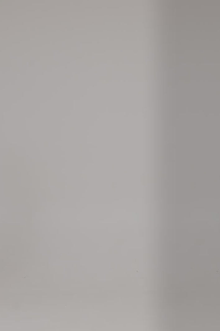 Manon V-Neck Slip Dress Leo